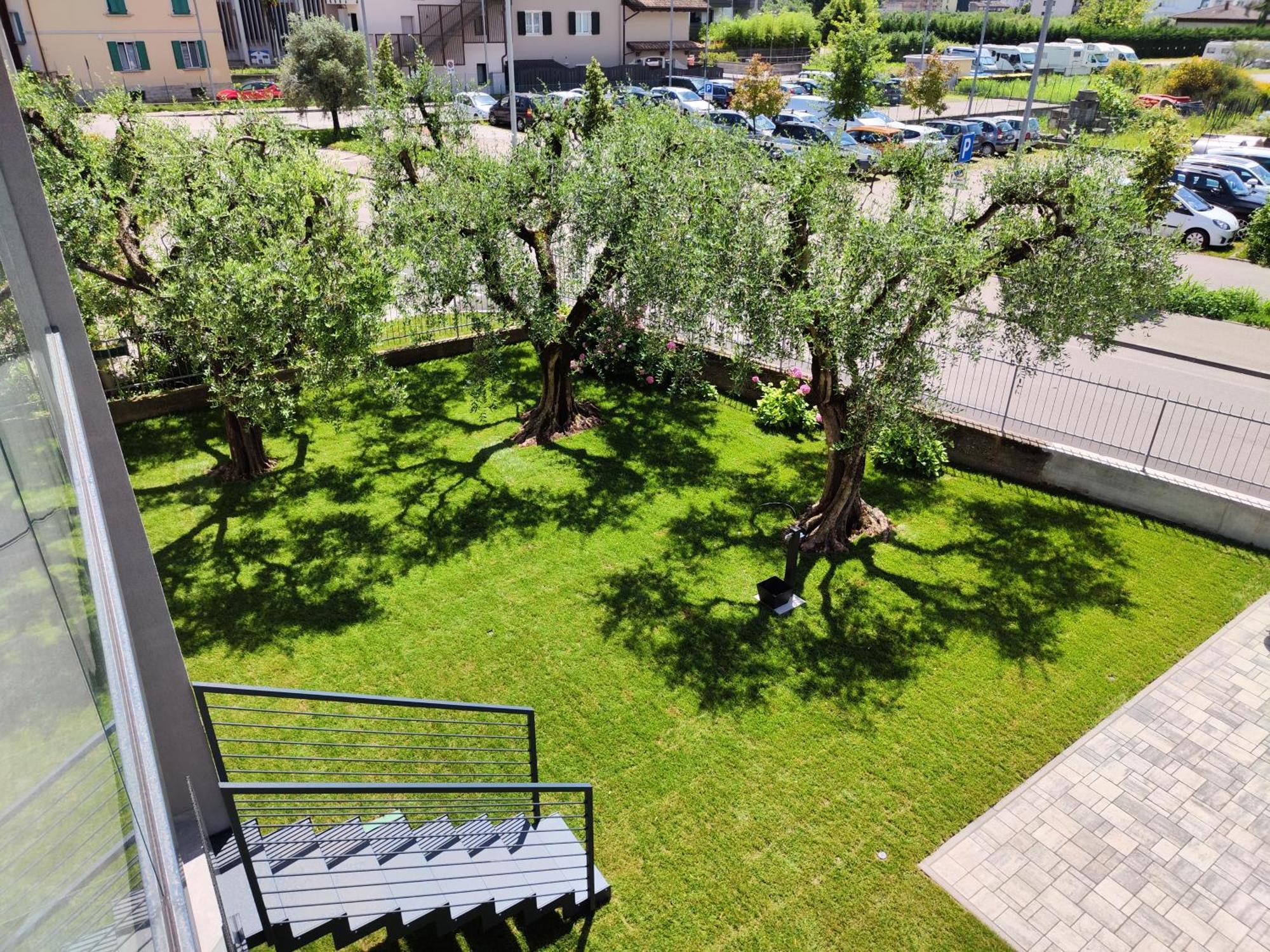 Oasi Degli Ulivi Lägenhet Riva del Garda Exteriör bild