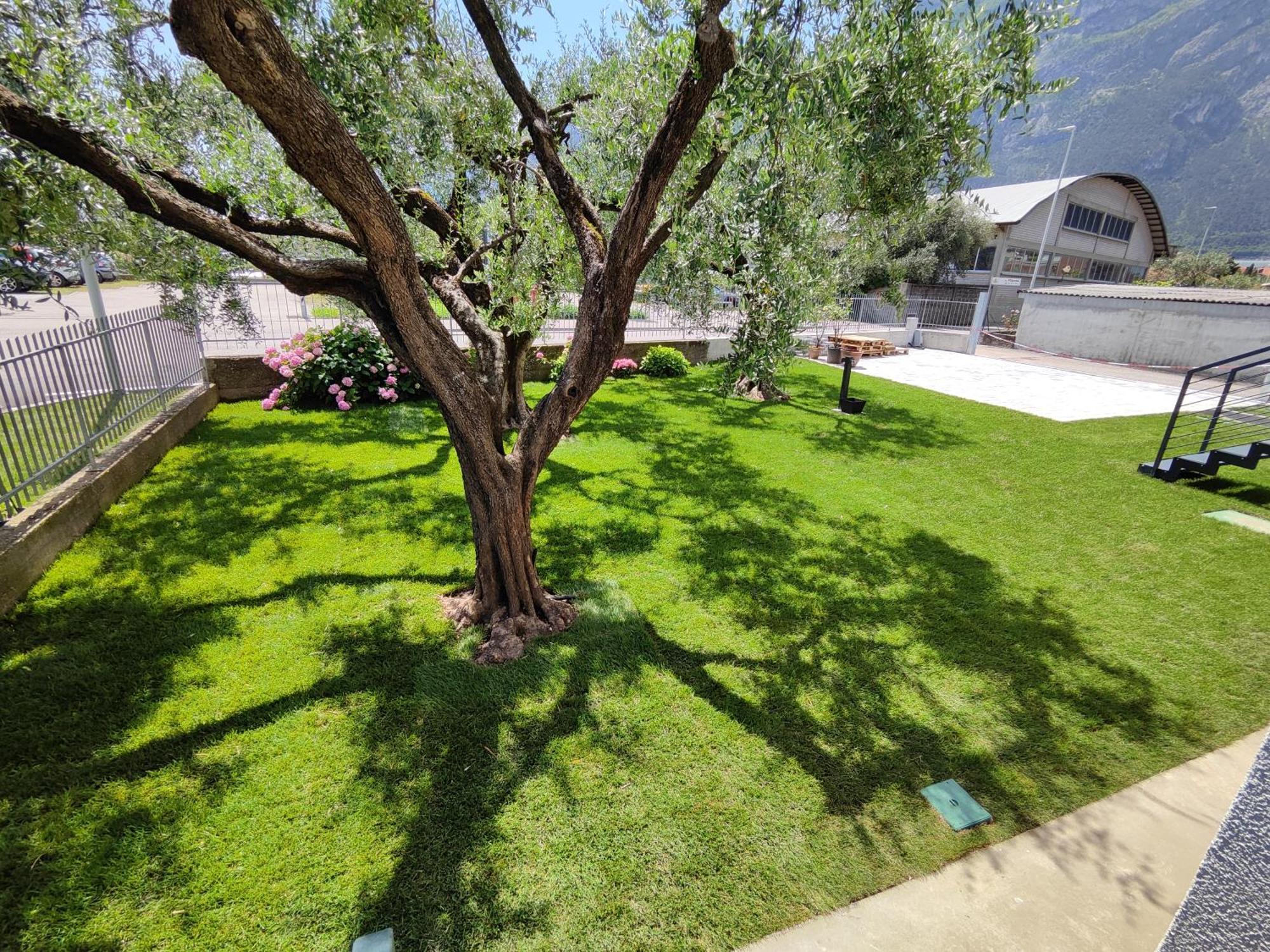 Oasi Degli Ulivi Lägenhet Riva del Garda Exteriör bild