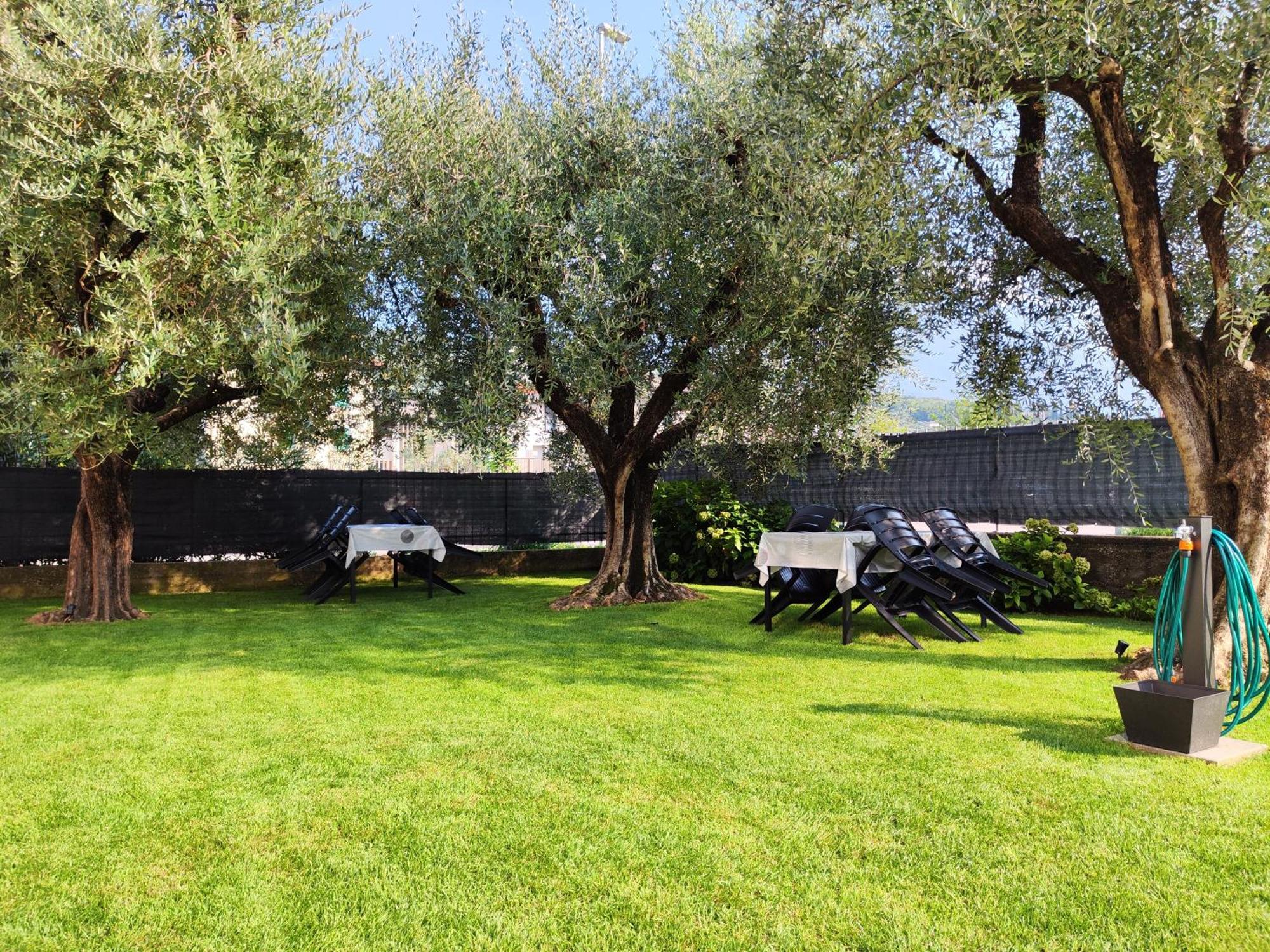 Oasi Degli Ulivi Lägenhet Riva del Garda Exteriör bild