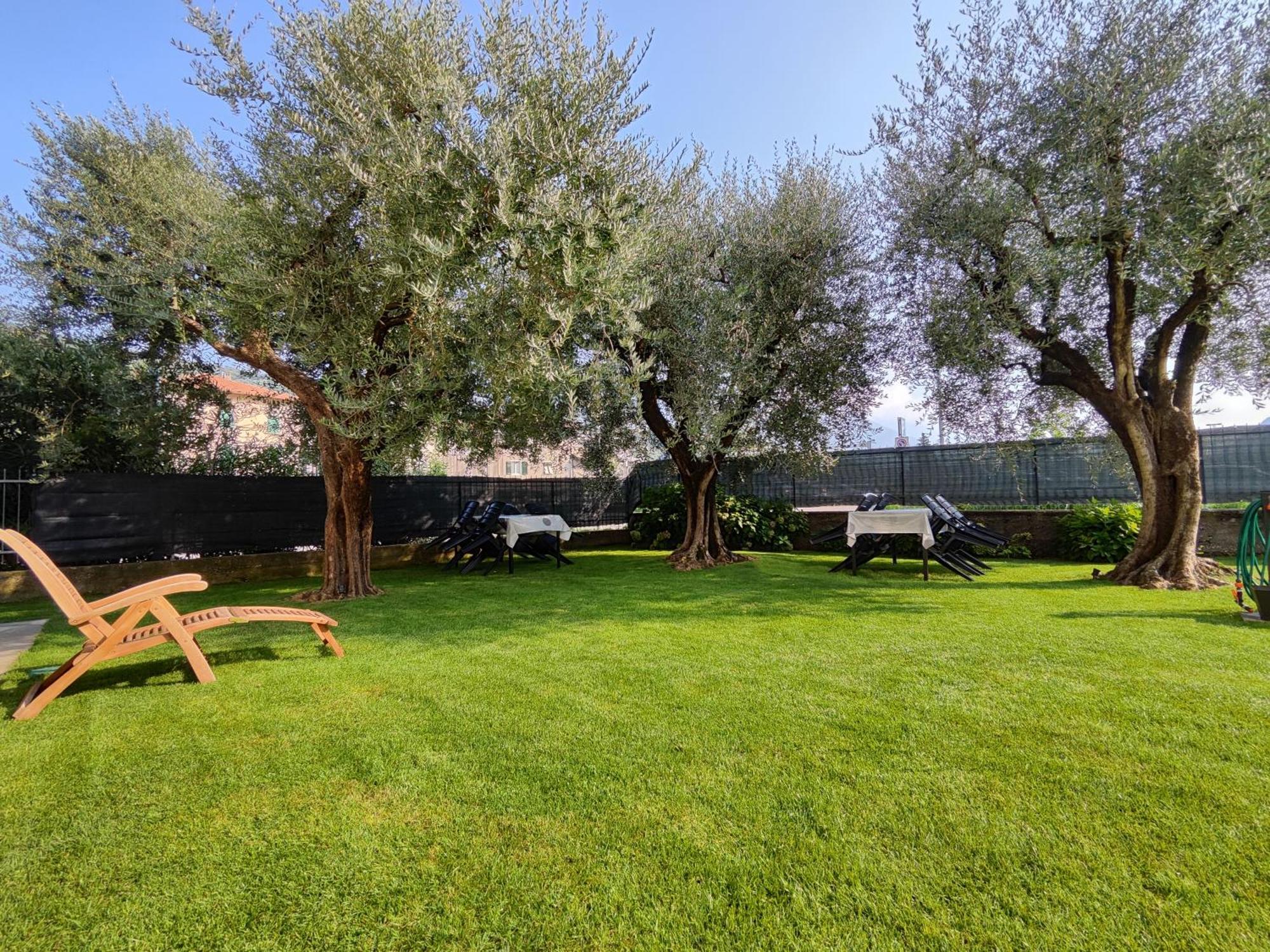 Oasi Degli Ulivi Lägenhet Riva del Garda Exteriör bild